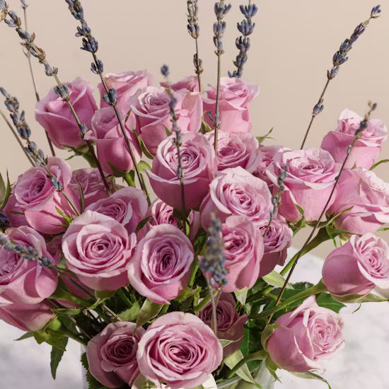 TEST 5